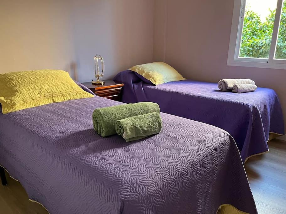 Triana Family Suites Sevilla Exteriör bild