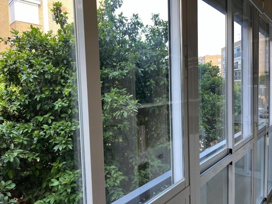Triana Family Suites Sevilla Exteriör bild